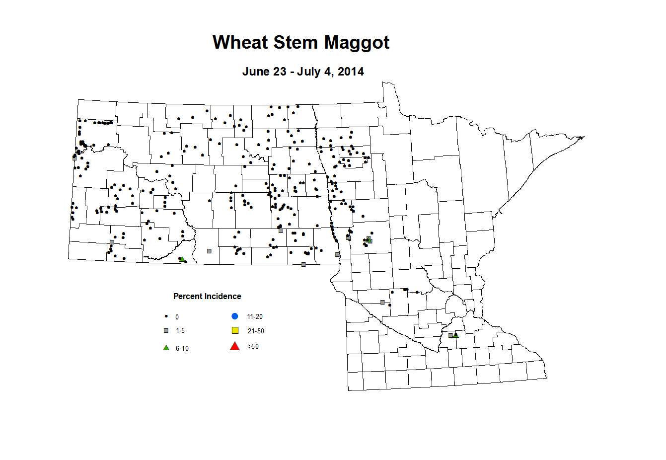 6 23 7 4 Wheat WS Maggot
