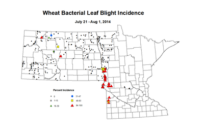 7 21 8 1 Wheat BLBI