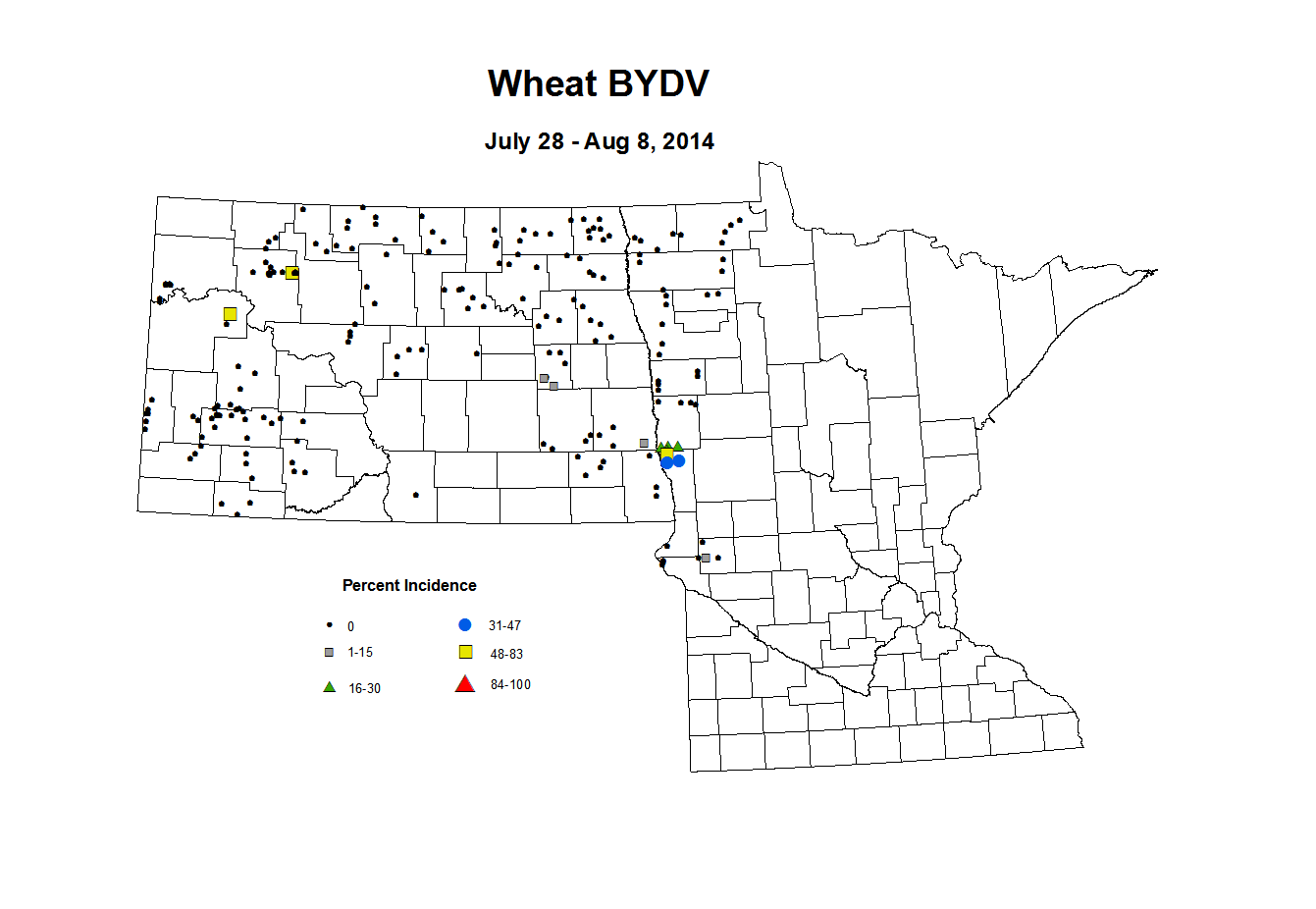 7 28 8 8 Wheat BYDV