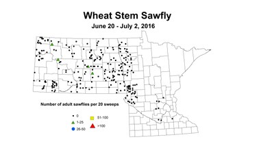 6 20 7 2 Wheat 2016