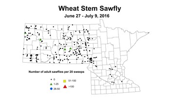 6 27 7 9 Wheat 2016