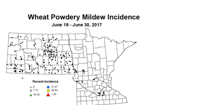 wheat PMI 6 19 6 30