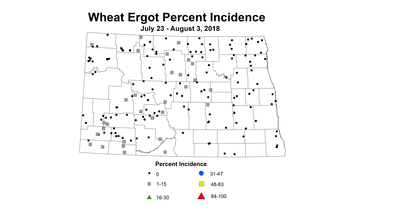 ergot
