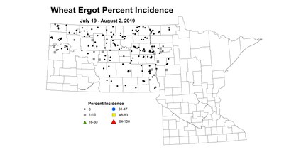 ergot