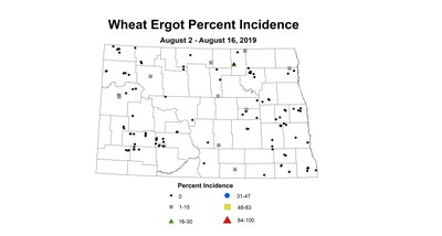 ergot