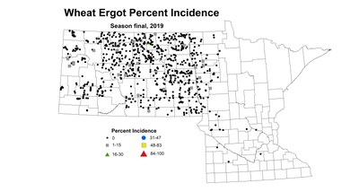 ergot