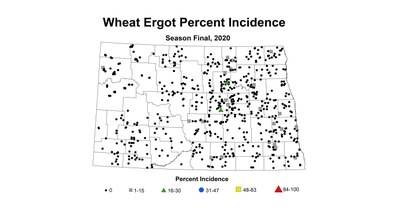 ergot