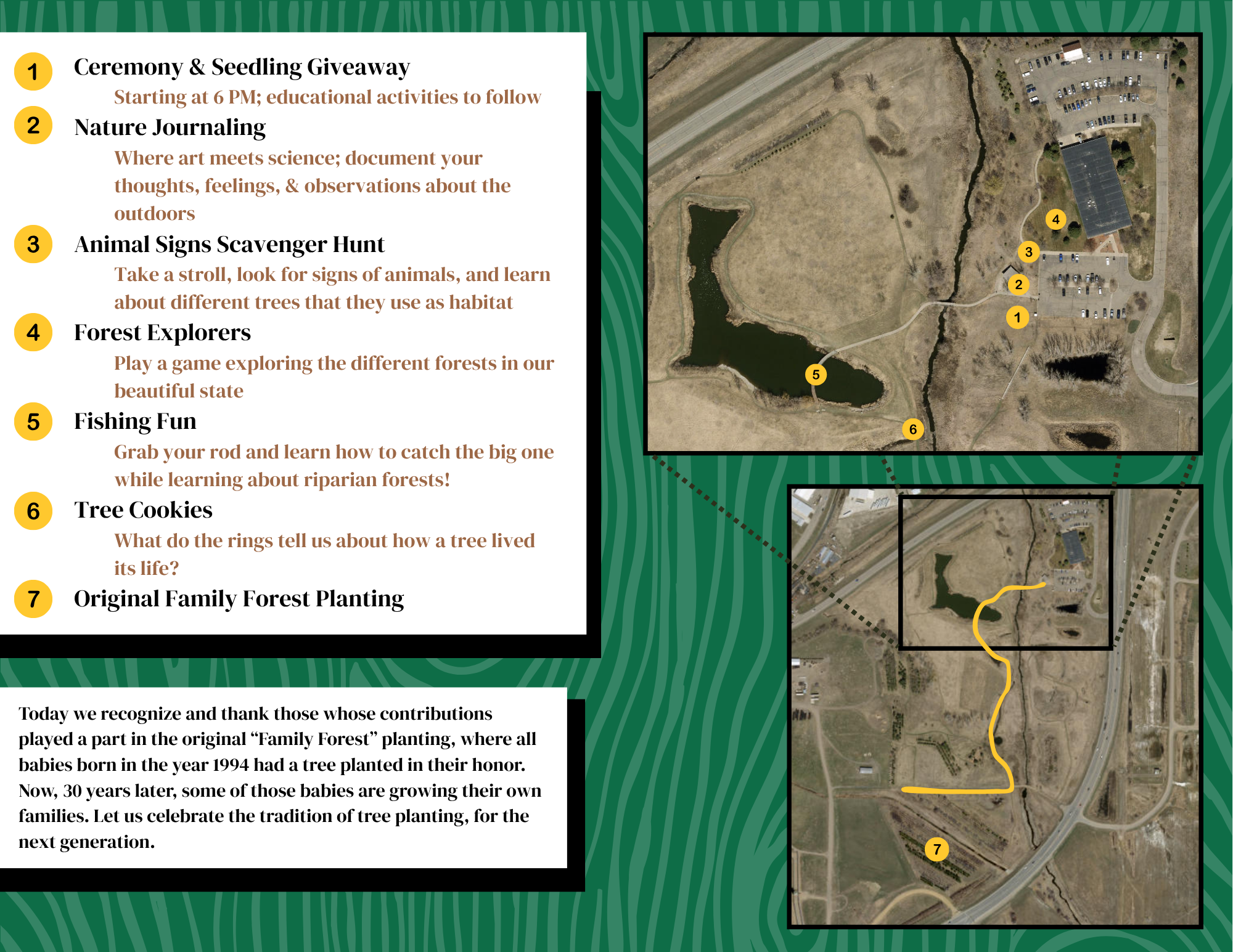 Family Forest Fest (1)