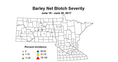 barley NBSV  6 19 6 30