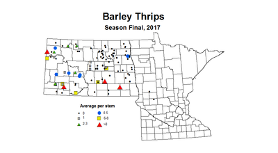 thrips Season Final Barley 2017