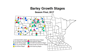 zgs Season Final Barley 2017
