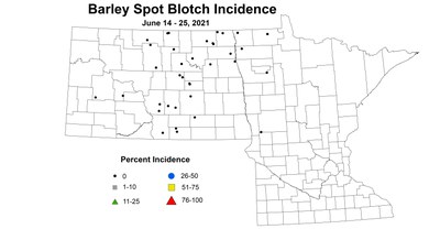 barleySpotBlotchIncidence 6.14 6.25