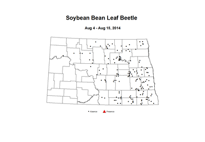 8 4 8 15 Soybean Bean Leaf Beetle