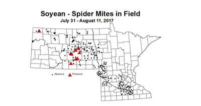 soybean mitesInField 7 31 8 11 2017