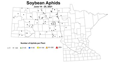 soybeanAphidsNumber 6.14 6.25