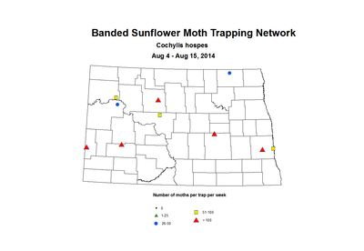 8 4 8 15 SunflowerTrap BSMTN