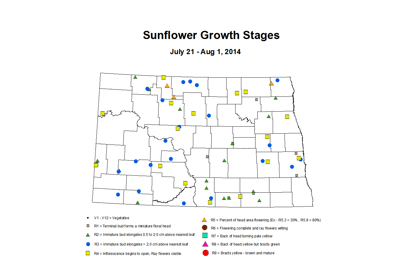 7 21 8 1 Sunflower ZGS