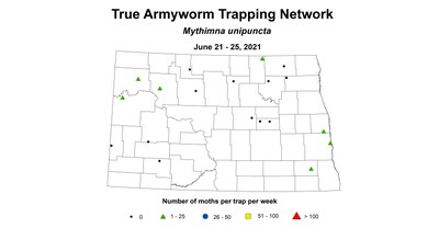 trueArmyworm 6.21 6.25