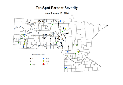 6 2 6 13 Wheat TS Sev