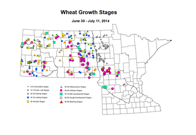 6 30 7 11 Wheat GrowthStages ZGS