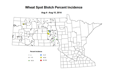 8 4 8 15 Wheat SB Inc