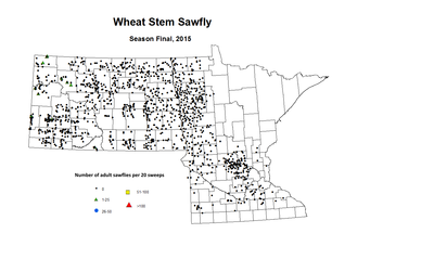Season Final 2015 Wheat Stem Sawfly