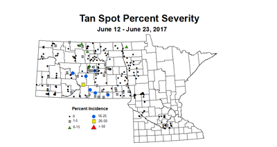 wheat TSSV 6 12 6 23 2017