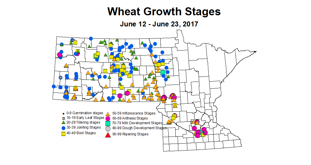 wheat zgs 6 12 6 23 2017