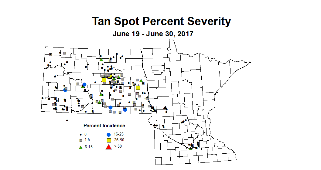 wheat TSSV 6 19 6 30