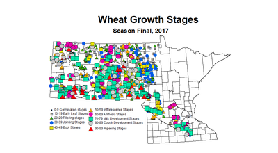 zgs seasonWheat2017