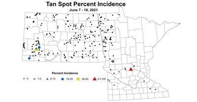 wheatTanSpotPercentIncidence 6.7 6.18