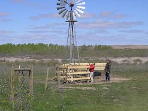 windmill