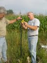 rainfall  data logger installation Sept 2, 2009  024 (1)