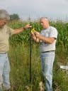 rainfall  data logger installation Sept 2, 2009  024 (1)