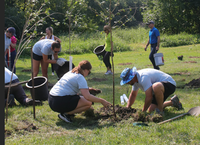 CFF community planting