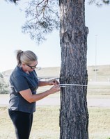 IRA Tree inventory
