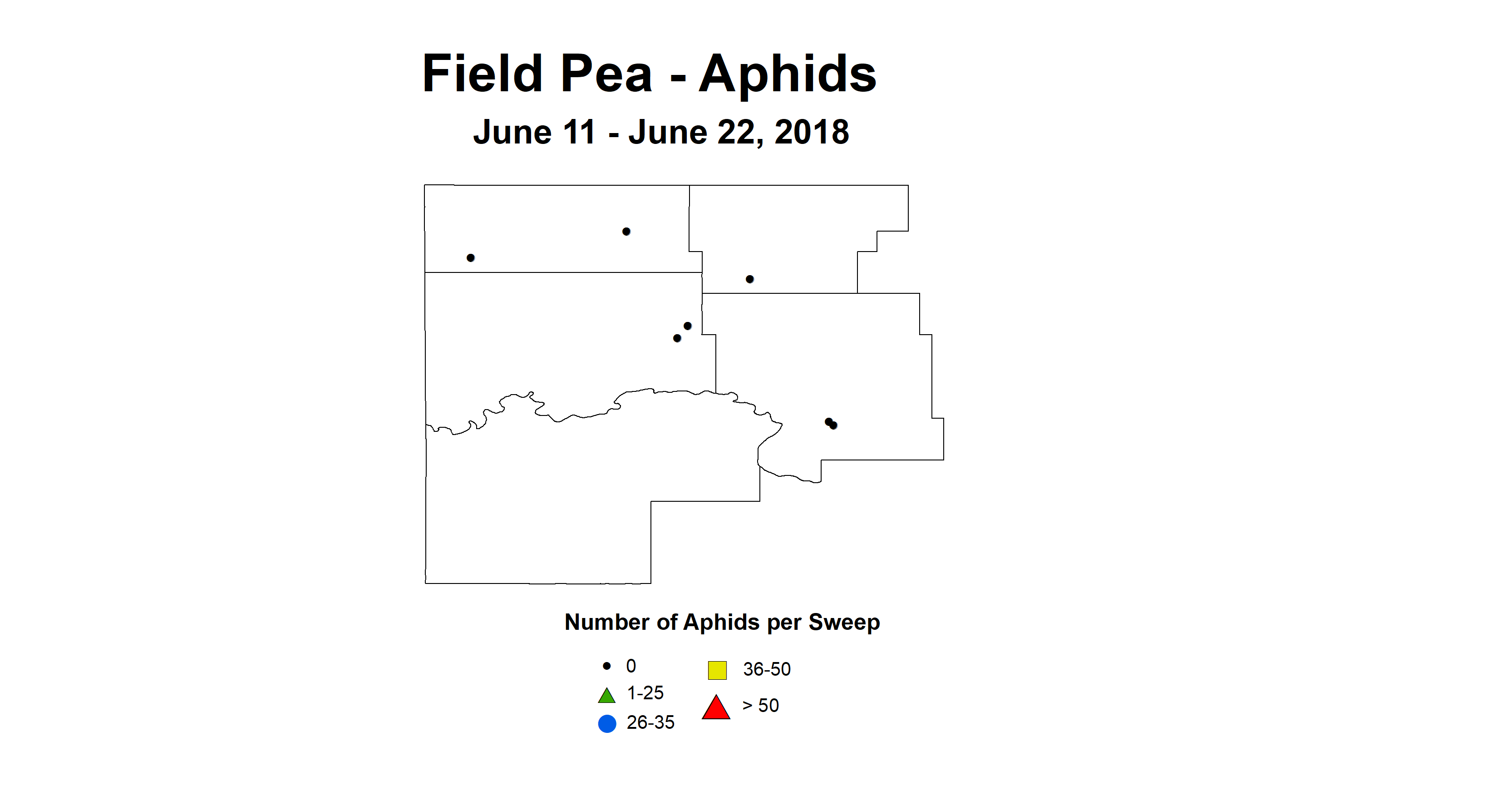 aphids