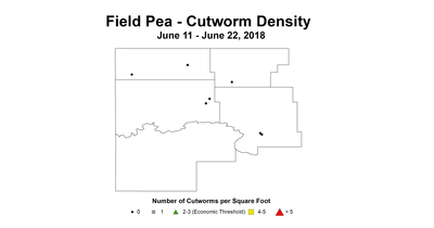 CwDensity