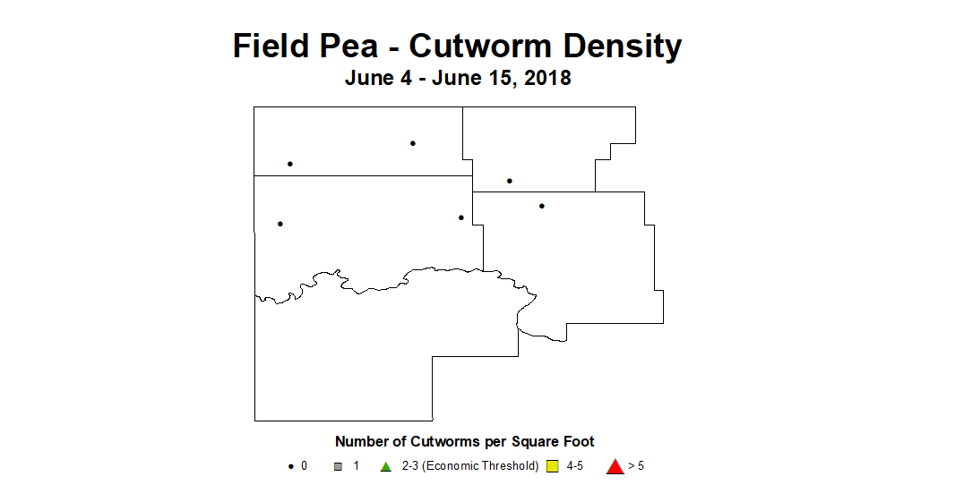 cw density
