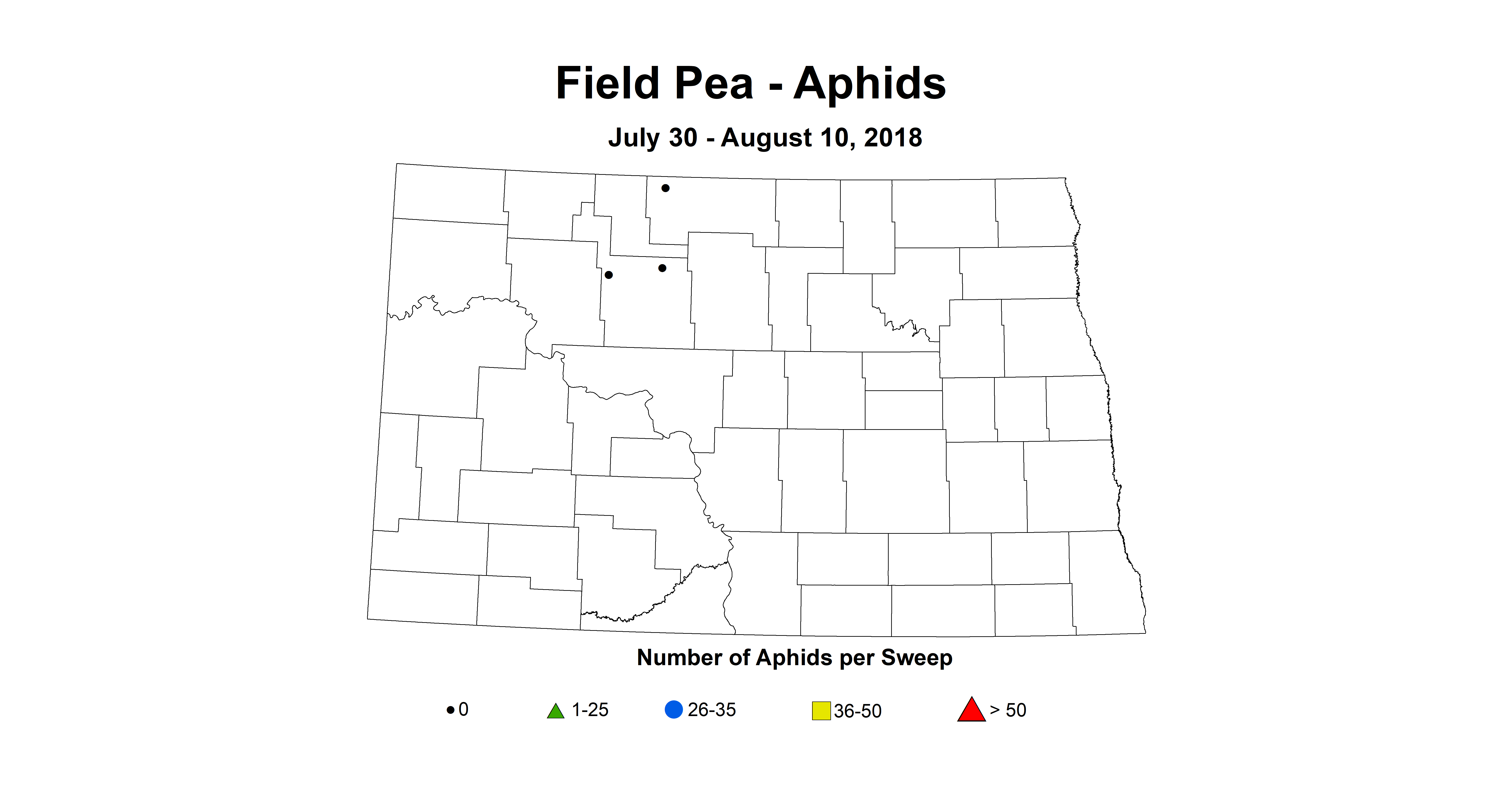 aphid