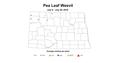 plw