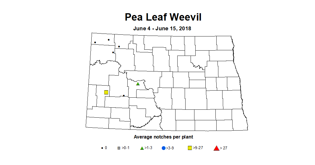 plw6.4 6.15