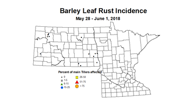 barley2018 LRI 5.28 6.1