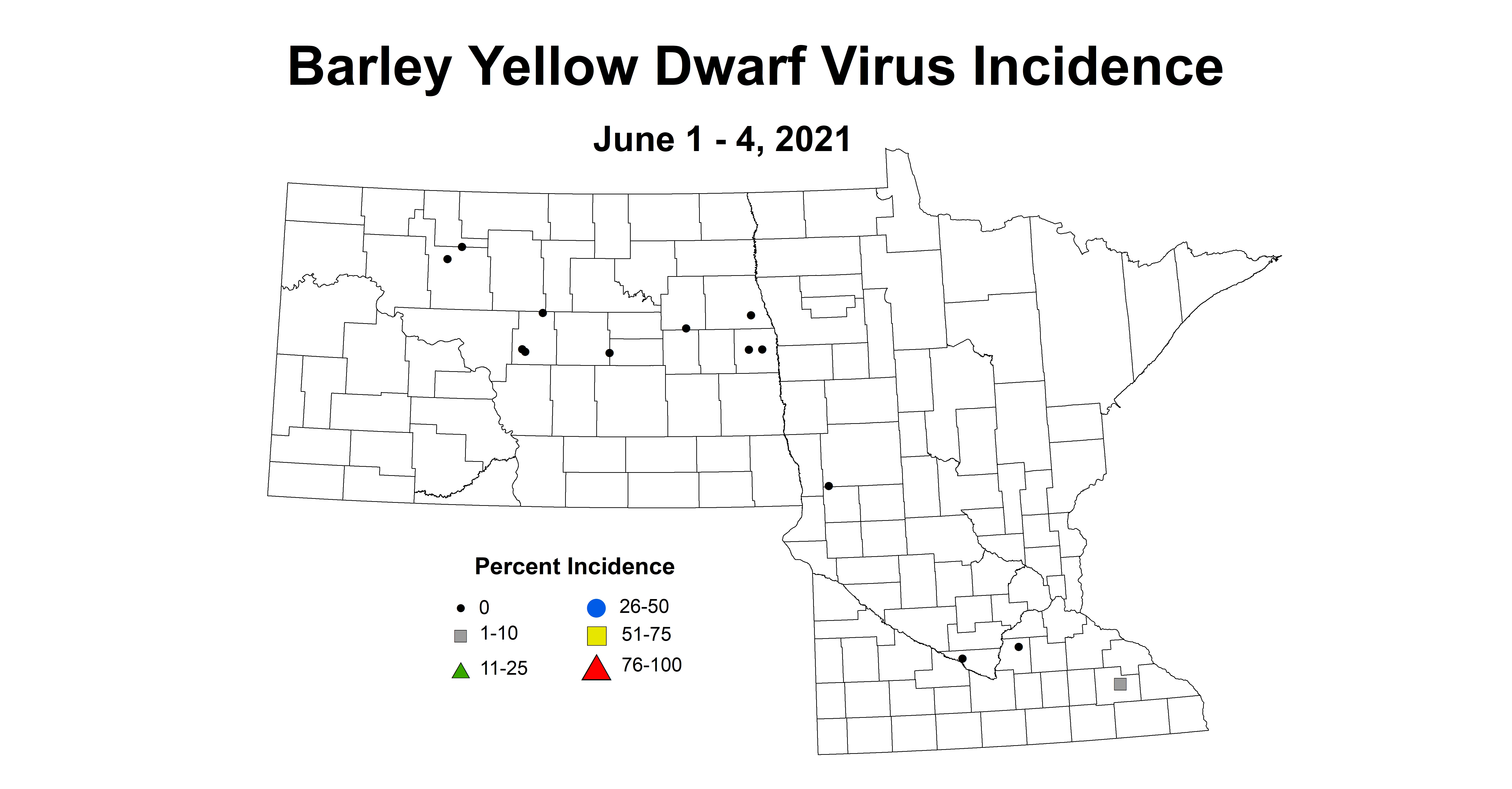 yellowdwarfvirus