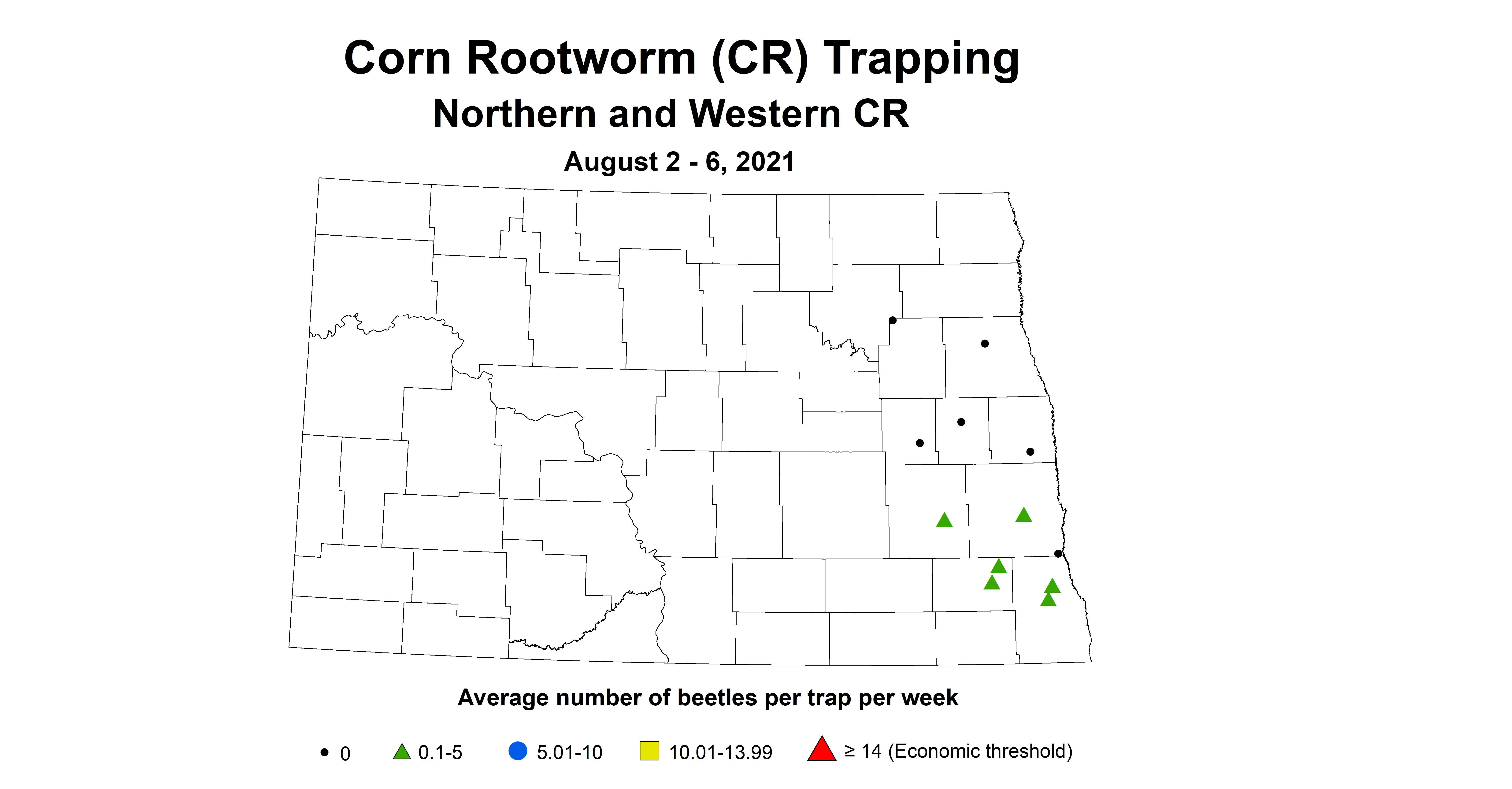 rootworm
