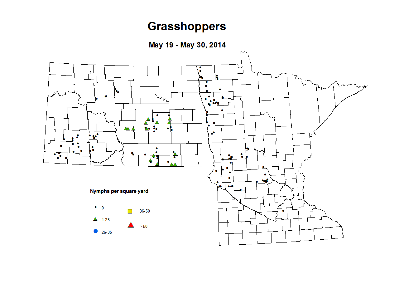 5 19 5 30 Grasshopper Nymphs