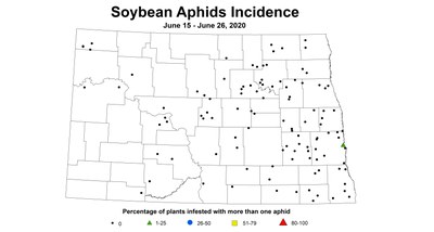 AphidIncidence