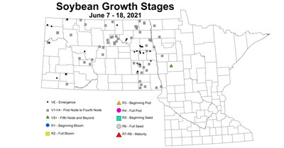 soybeanGrowthStages 6.7 6.18