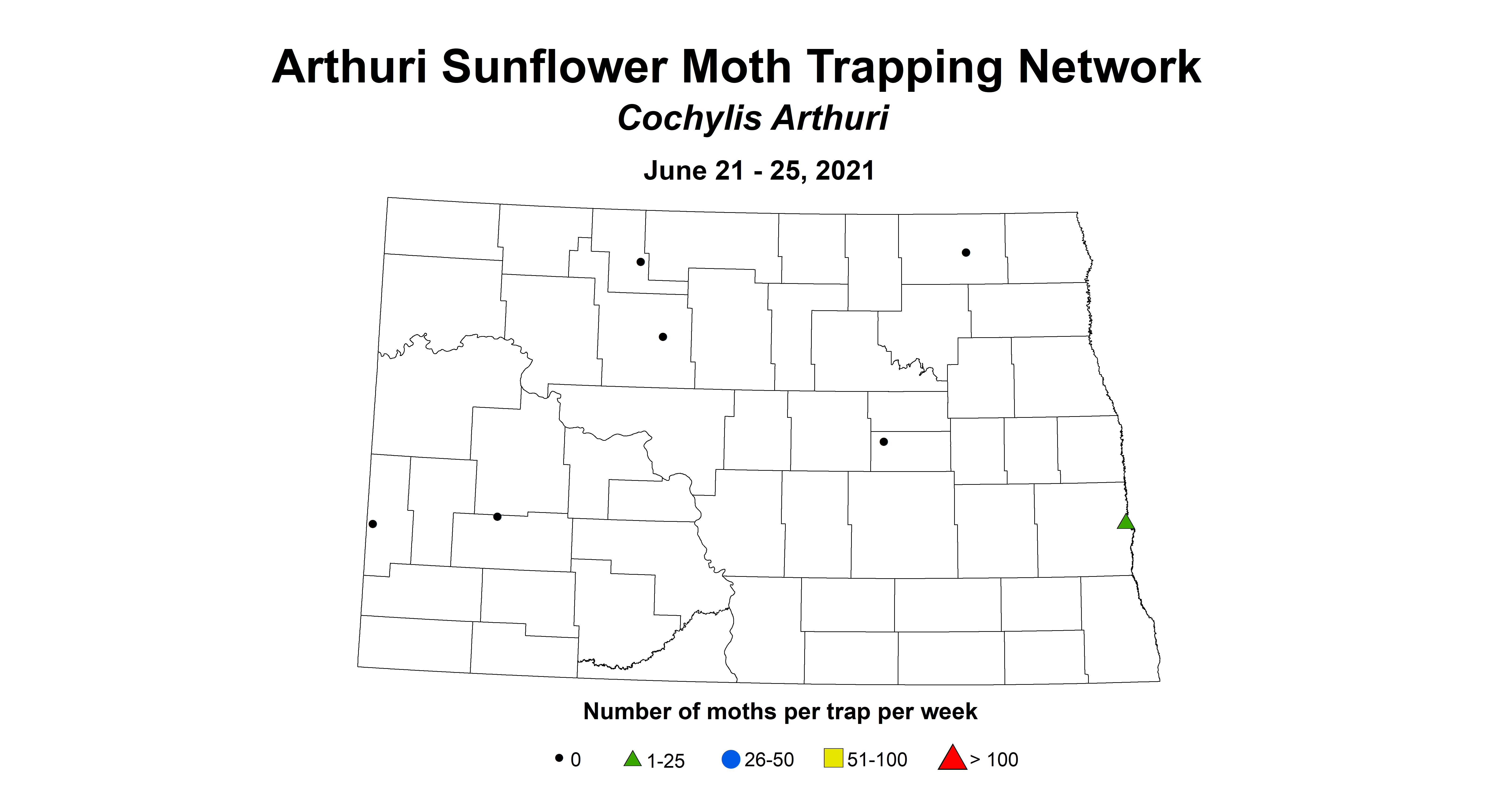 ArthuriSunflowerMoth 6.21 6.25
