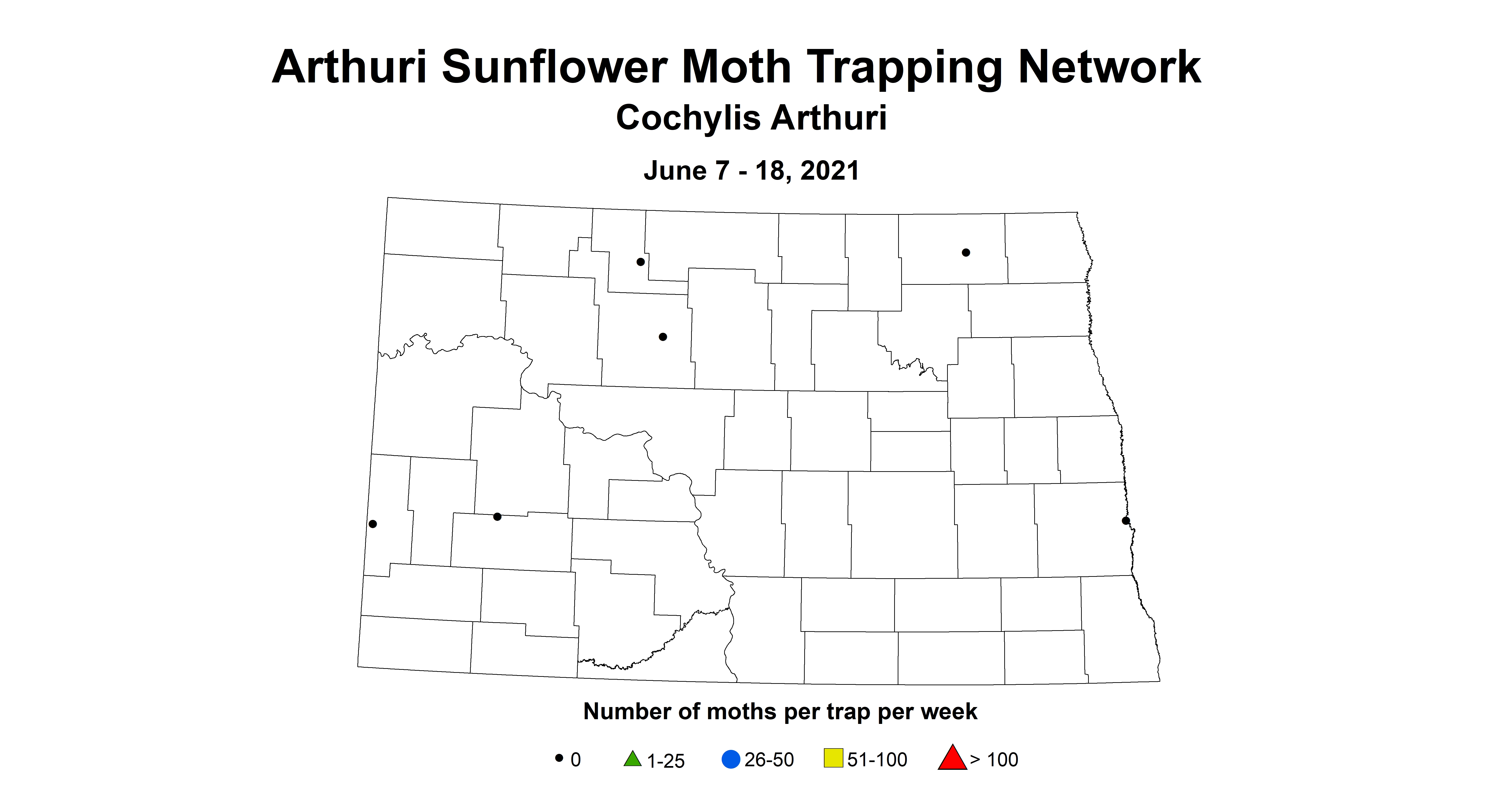 arthuriSunflowerMoth 6.7 6.18